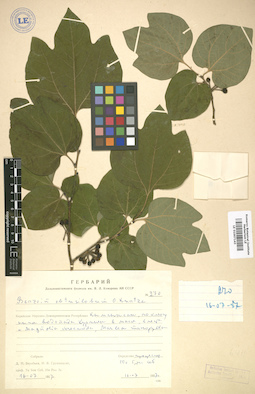 LE 01007143