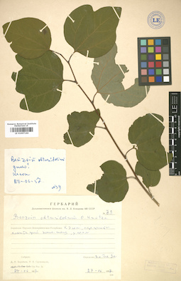LE 01007144