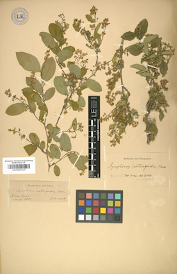 LE 01007147