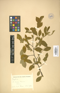 LE 01007148