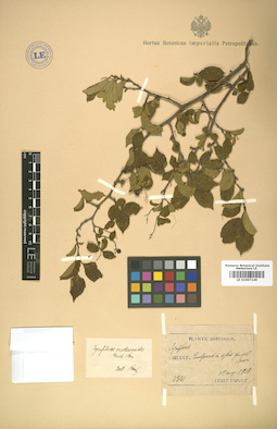 LE 01007149