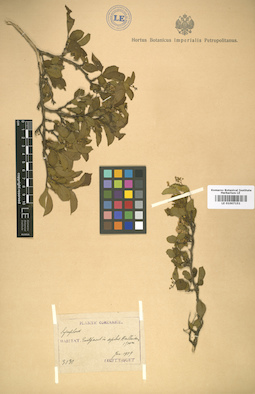 LE 01007151