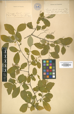 LE 01007154
