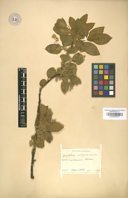 LE 01007157