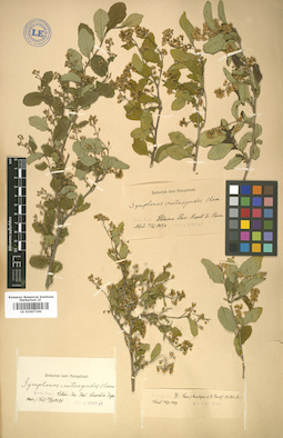 LE 01007160