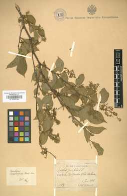 LE 01007163