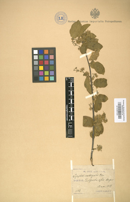 LE 01007164