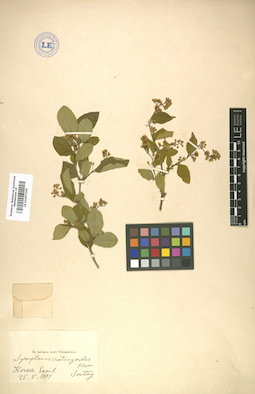 LE 01007165