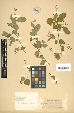 LE 01007166