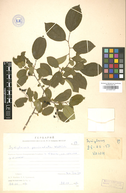 LE 01007167