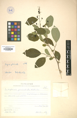 LE 01007168