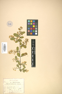 LE 01007169