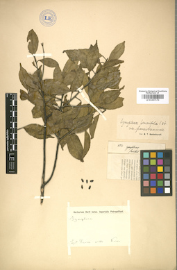 LE 01007170