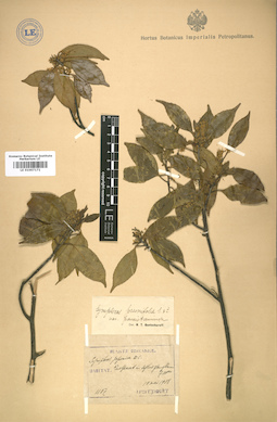 LE 01007171