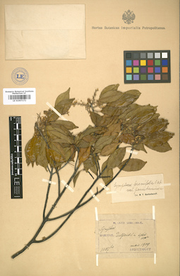 LE 01007172