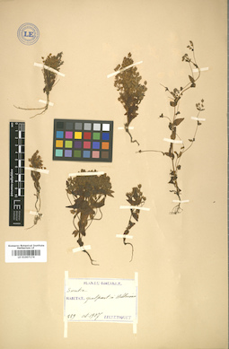 LE 01007174