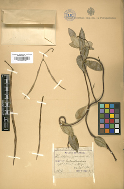 LE 01007180