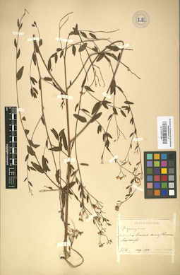 LE 01007186