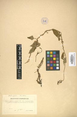 LE 01007192