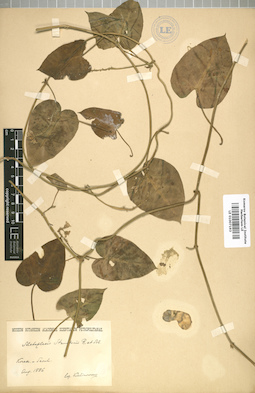 LE 01007193