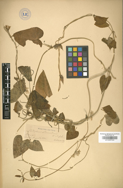 LE 01007194