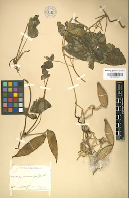 LE 01007197