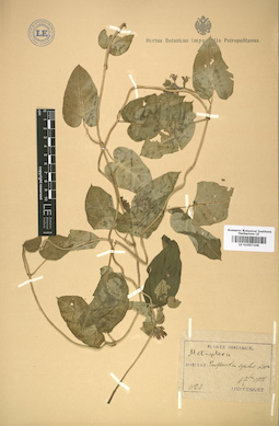 LE 01007198