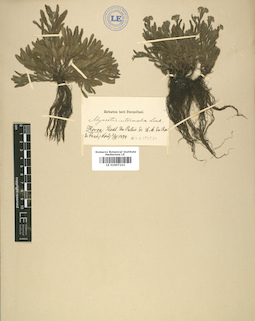 LE 01007215