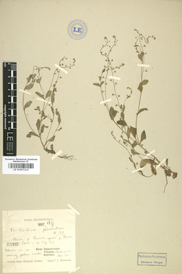 LE 01007216
