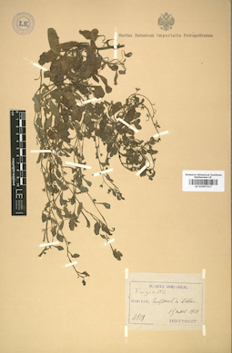 LE 01007217