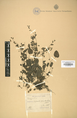 LE 01007218