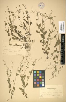 LE 01007219