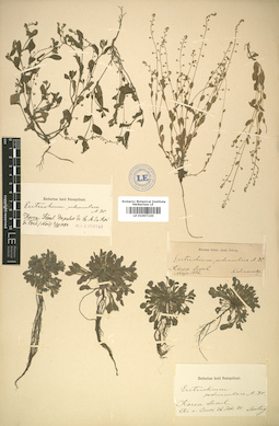 LE 01007220