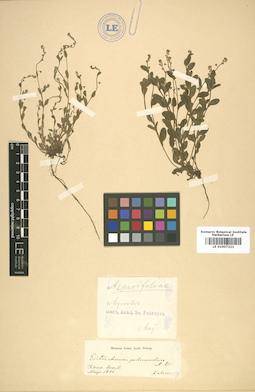 LE 01007221