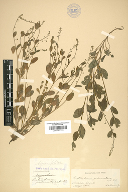 LE 01007222