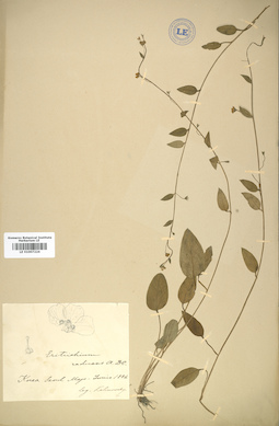 LE 01007224
