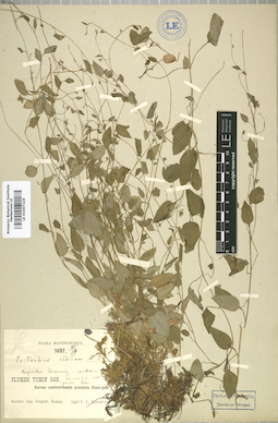 LE 01007226