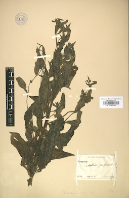 LE 01007230