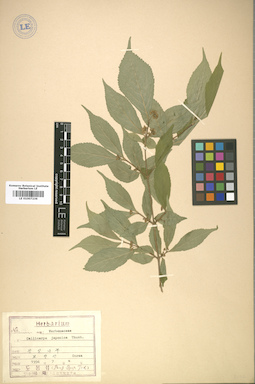 LE 01007236