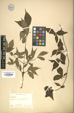 LE 01007249