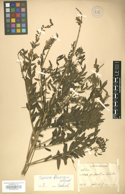 LE 01007301