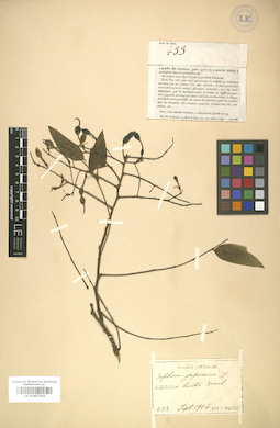 LE 01007304