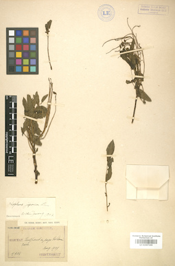 LE 01007305