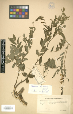 LE 01007312
