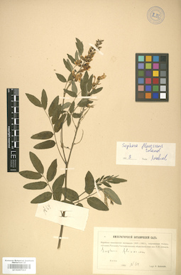 LE 01007313