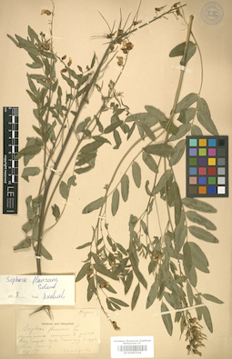 LE 01007314
