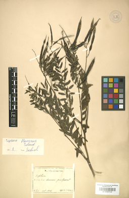 LE 01007316