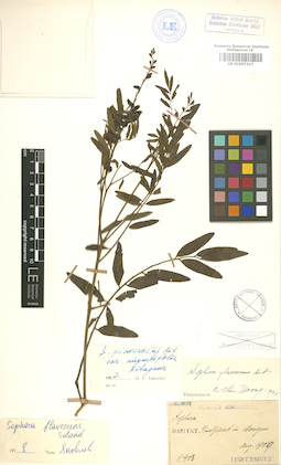 LE 01007317