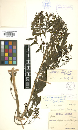 LE 01007318
