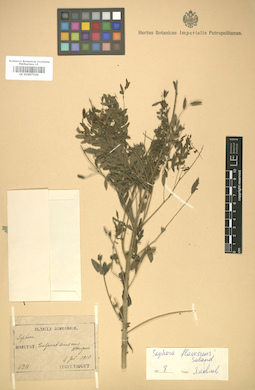 LE 01007320